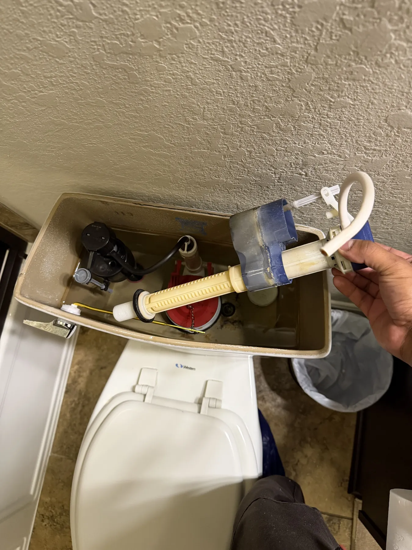 Toilet tank components inspected and replaced to stop water loss.